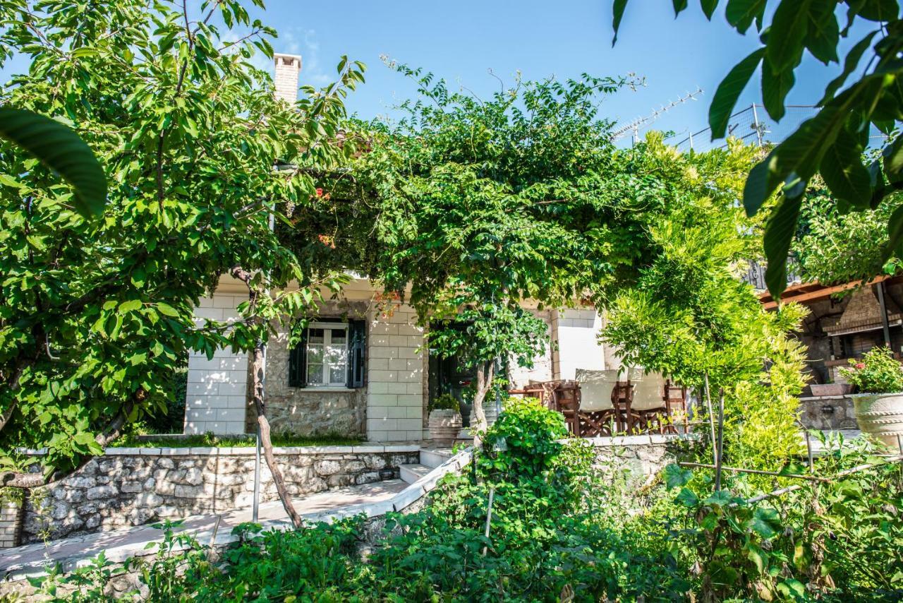 Villa Ilias Pinakokhorion Exterior photo